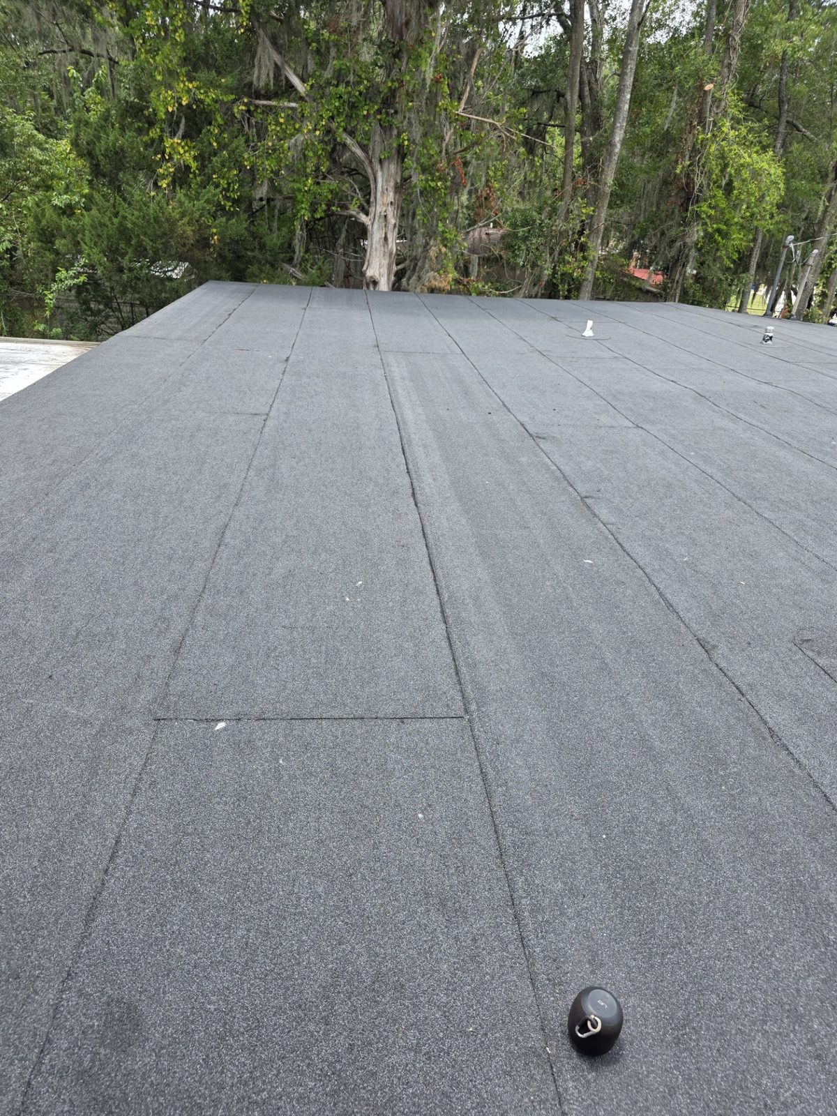 Commercial modified bitumen flat roof system